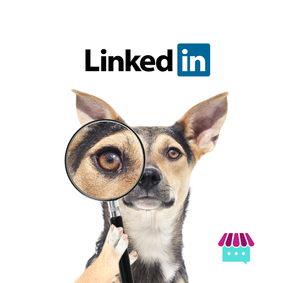 zoom sur LinkedIn